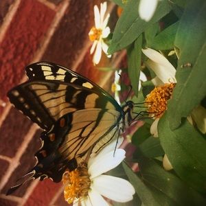 Meet your Posher, Bethany